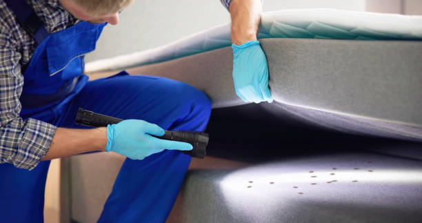 Best Best Pest Control Companies  in Wharton, TX