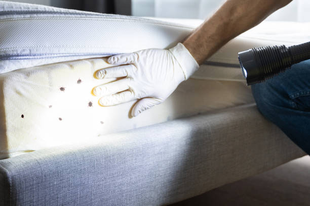 Best Cockroach Control Services  in Wharton, TX
