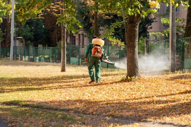 Professional Pest Control in Wharton, TX