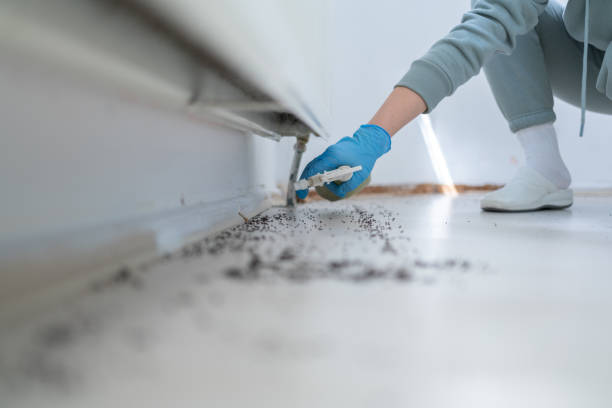 Best Ant Control Services  in Wharton, TX